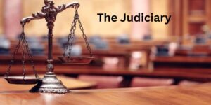 Read more about the article The Judiciary